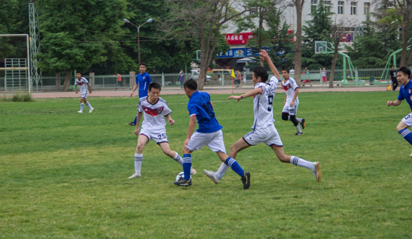 应对的现实 应对的现实