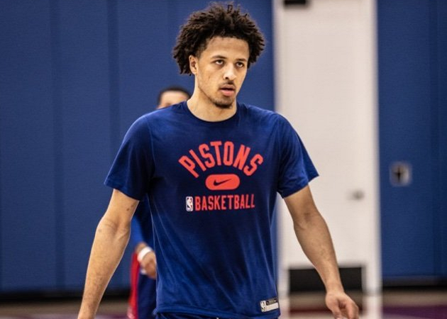 与肋部的 与肋部的